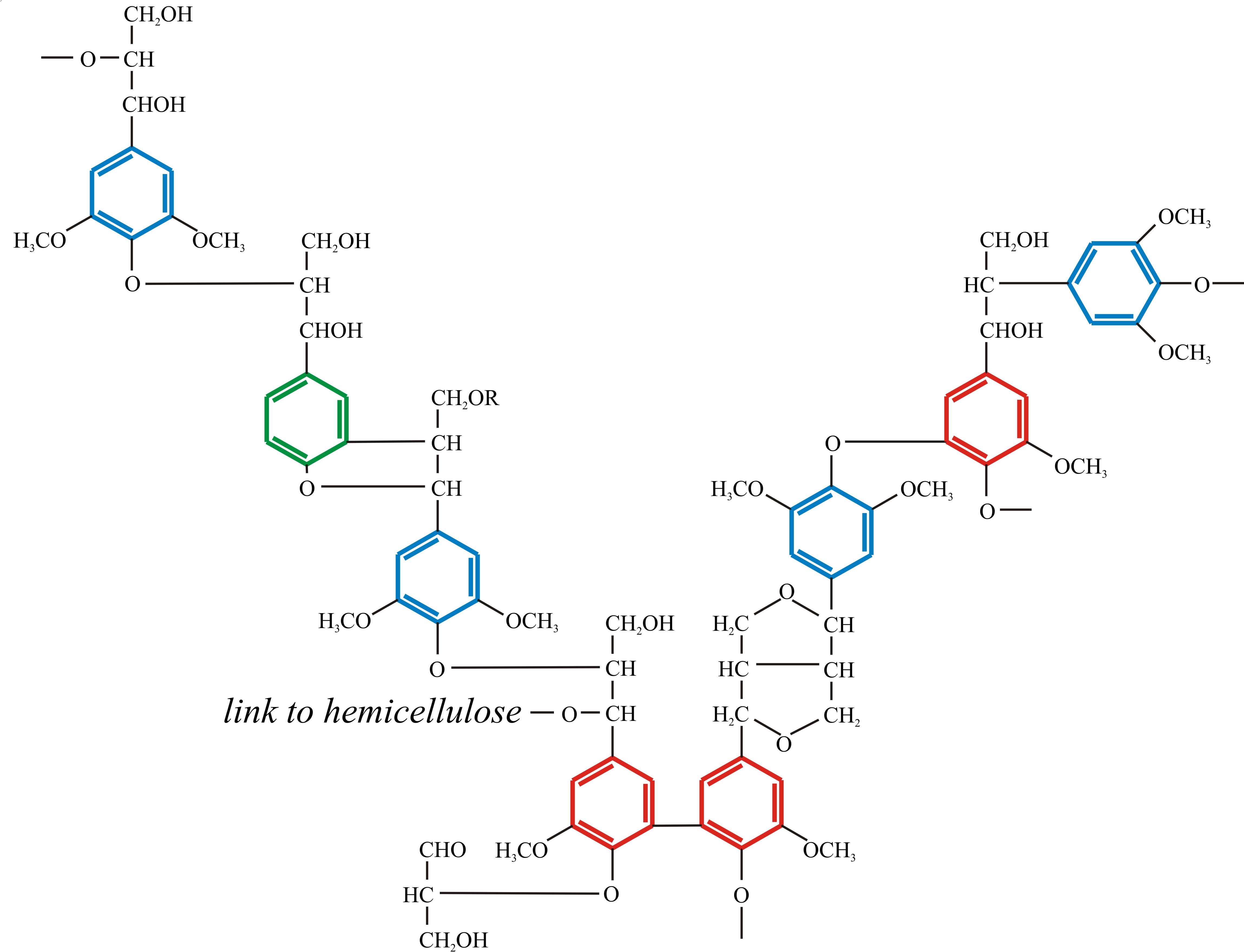 Schematic formula of the polymer structure of angiosperm lignin