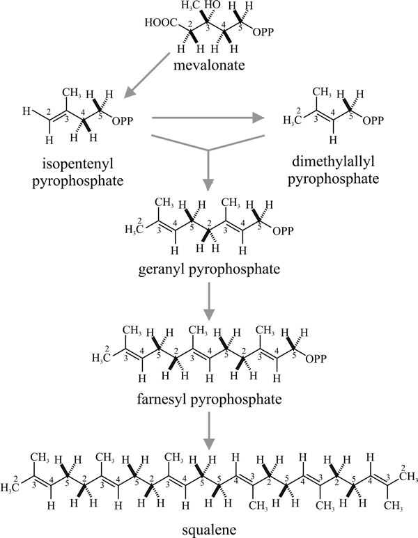 Synthesis of acyclic (that is, straight chain) terpenes by successive condensations