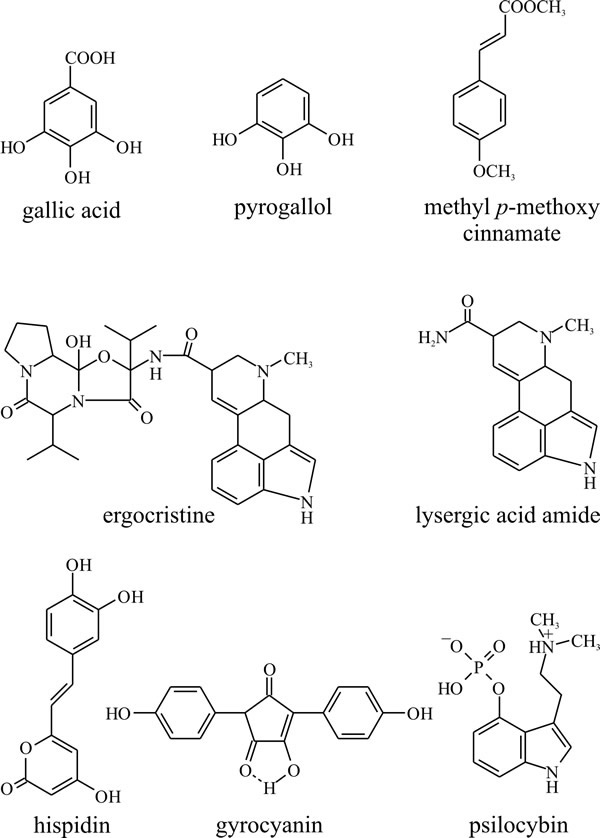 The shikimate-chorismate pathway produces a variety of aromatic compounds as well as amino acids