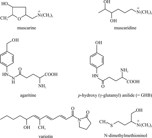 Non-aromatic amino acids may also be modified and accumulated as secondary metabolites