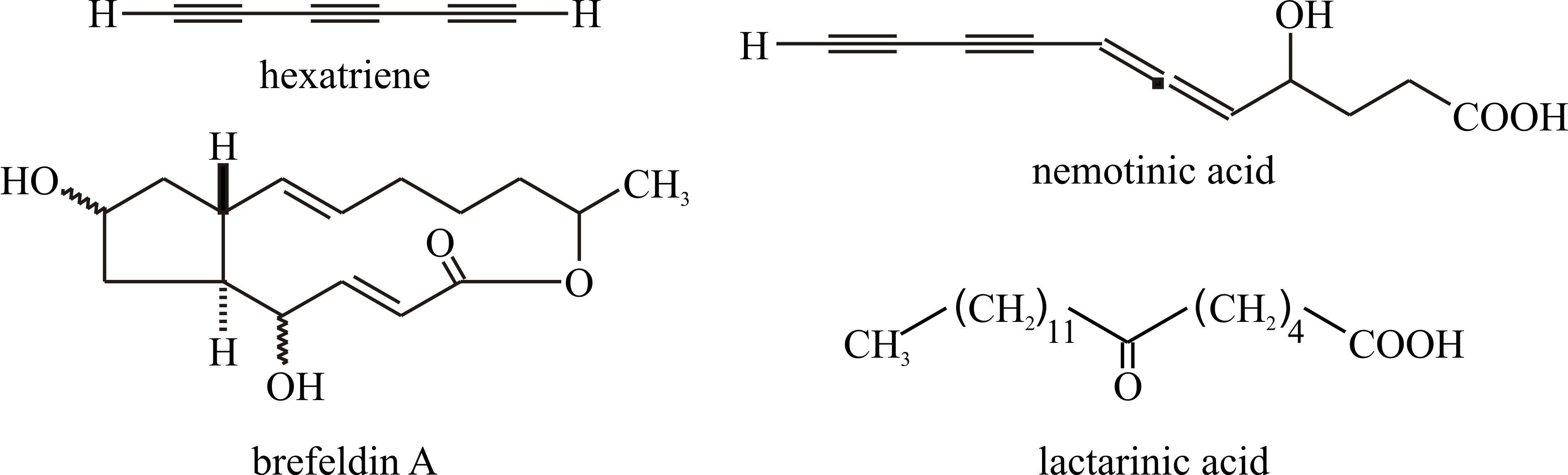 Chemical modification of fatty acids produces a variety of secondary metabolites including polyacetylenes and cyclopentanes