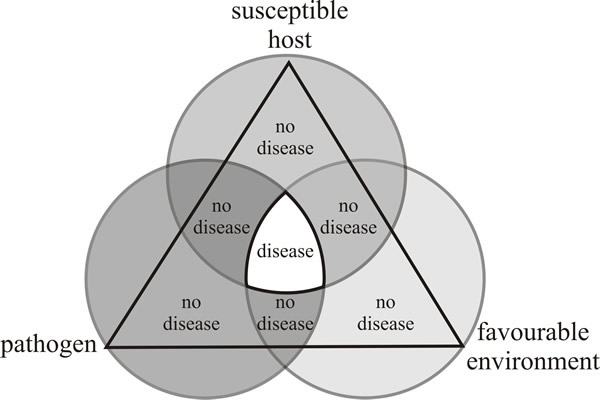 The disease triangle