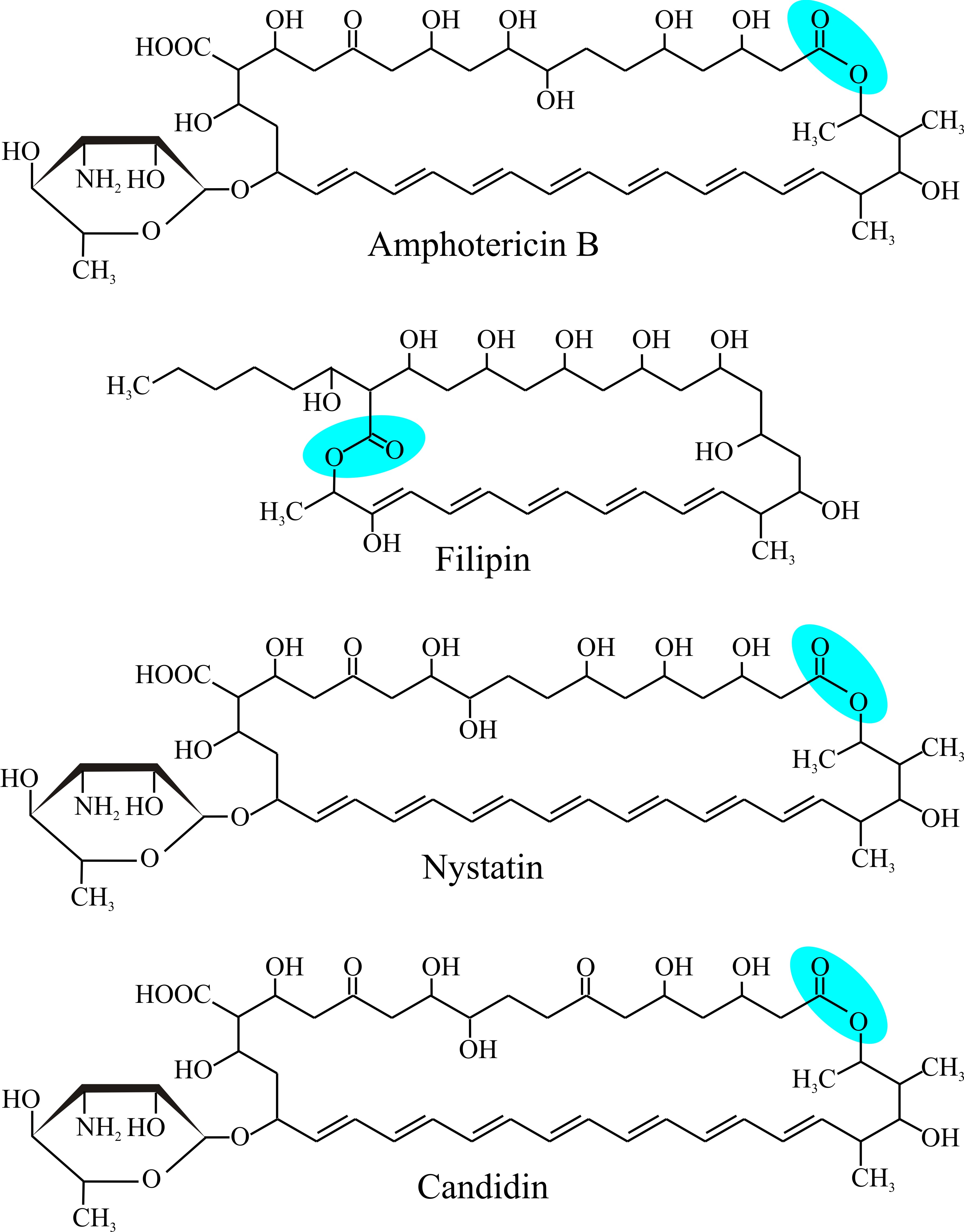 Structural formulae of some polyene antibiotics