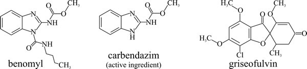 Structural formulae of antifungal agents that target microtubule function