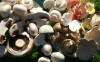 Cultivated mushrooms