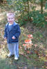 Sam finds a troop of Fly Agarics