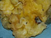 Tremella mesenterica Yellow Brain