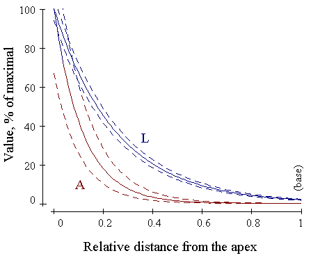 Distribution of ability for local perception of the gravitropic signal (L) and straightening reaction (A) through the length of the stem.