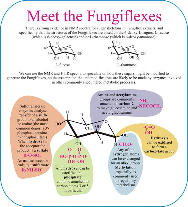 FUNGIFLEX-molecules