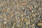 pebbles.JPG (89710 bytes)