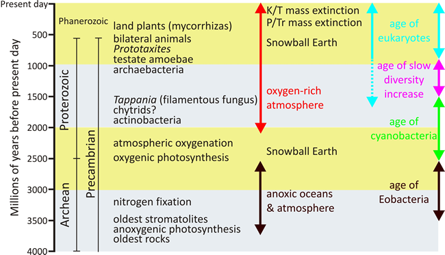 A geological timescale covering from the time of the oldest rocks (3.8 billion years ago) to the present day