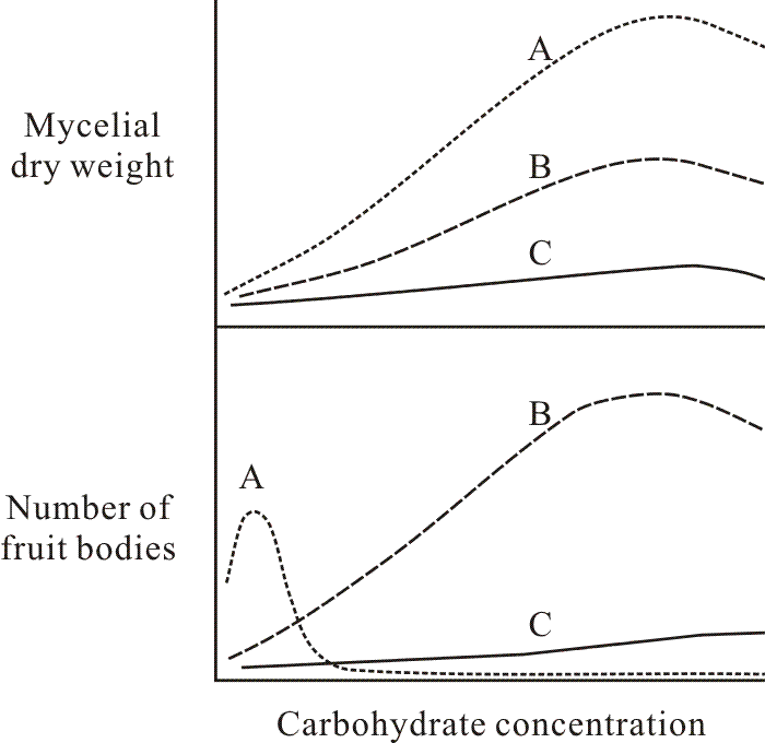 Typical graphs relating mycelium and fruit body biomass production of Ascomycota to carbohydrate concentration