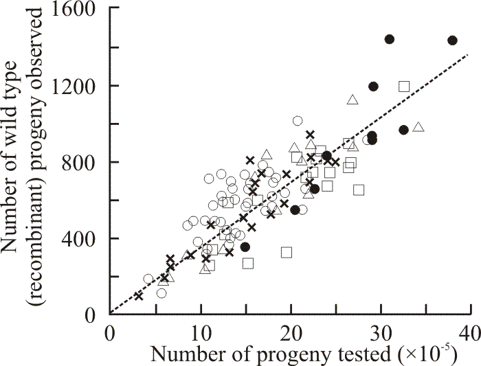 Results of 114 crosses made between strains carrying ftr alleles 154 and 492