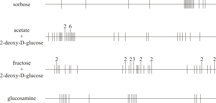 Distributions of alleles selected on different media in the ftr allele map