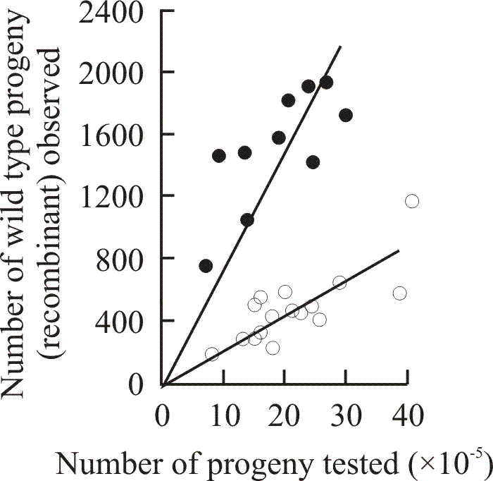 Detection of marker effect genes influencing recombination between alleles of the ftr cistron