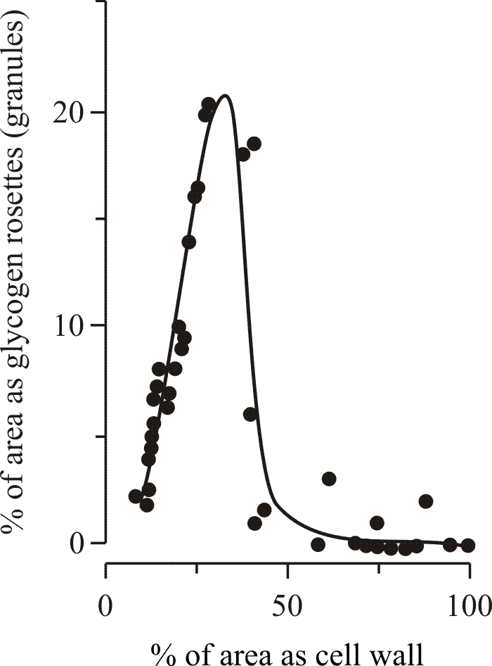 Involvement of glycogen metabolism in development