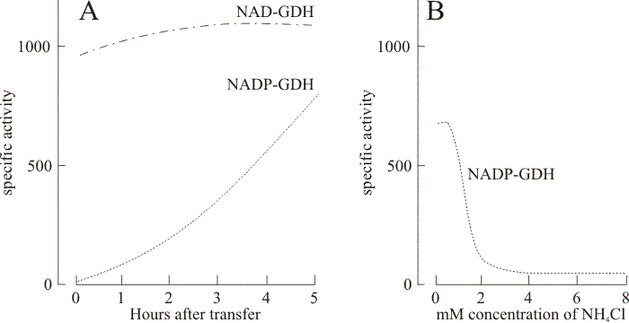 Generalised results of the standard medium transfer-experiment