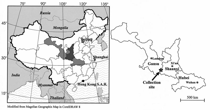 The provinces of China