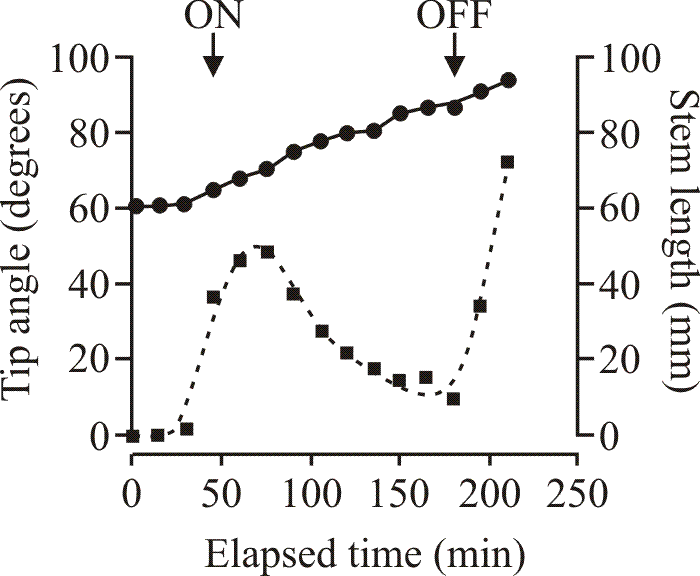 Example of a clinostat experiment